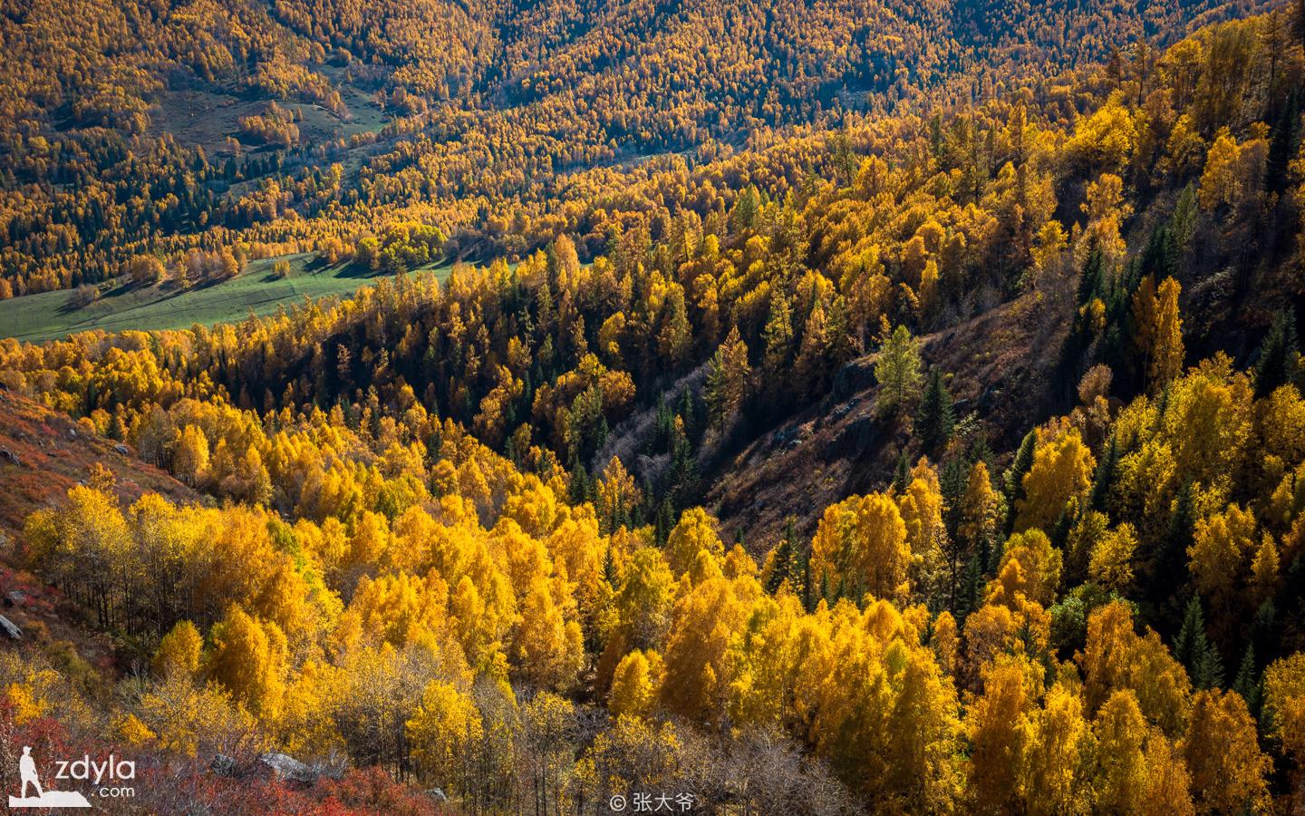 Take you to play the autumn of Northern Xinjiang and stay in the colorful oil painting world