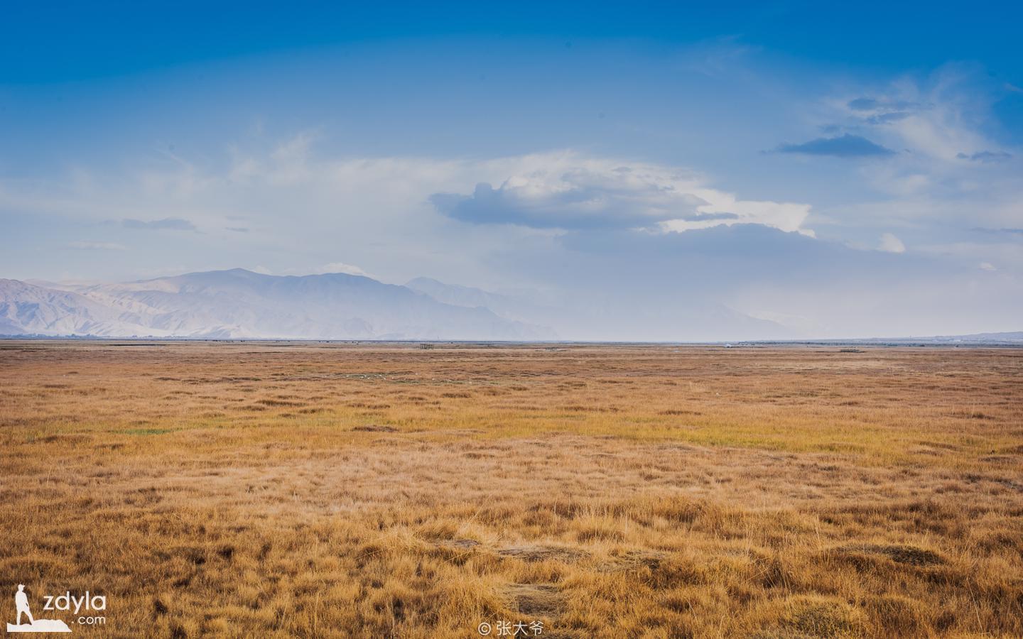 Golden grassland and Stone city