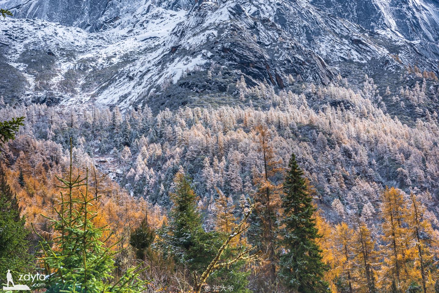 四姑娘山 · 长坪沟