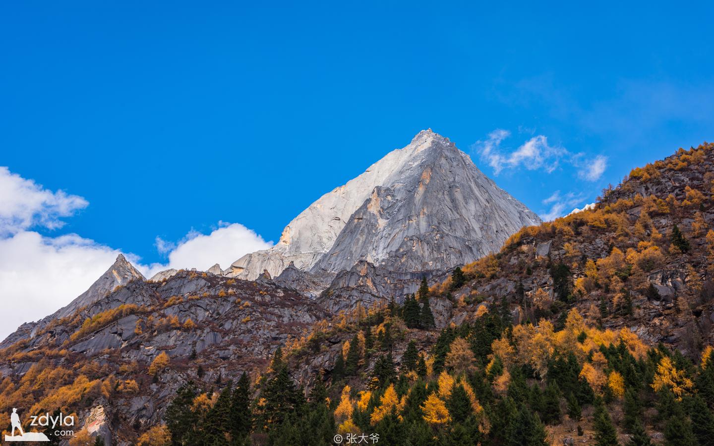 四姑娘山 · 长坪沟