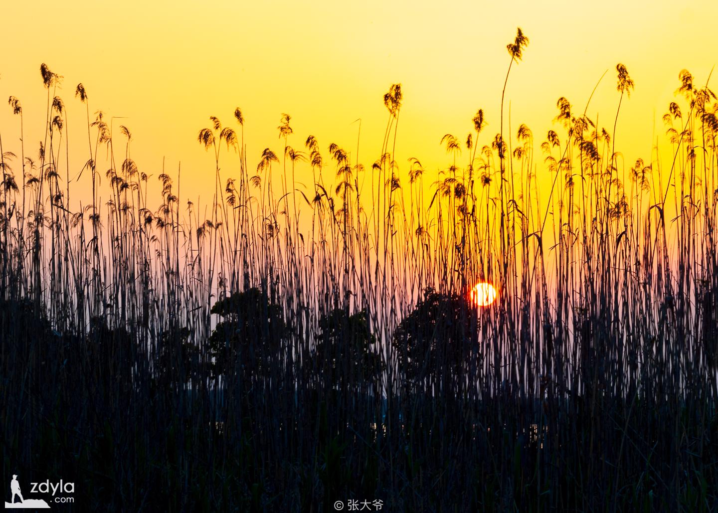 一池湖水，暮色阑珊