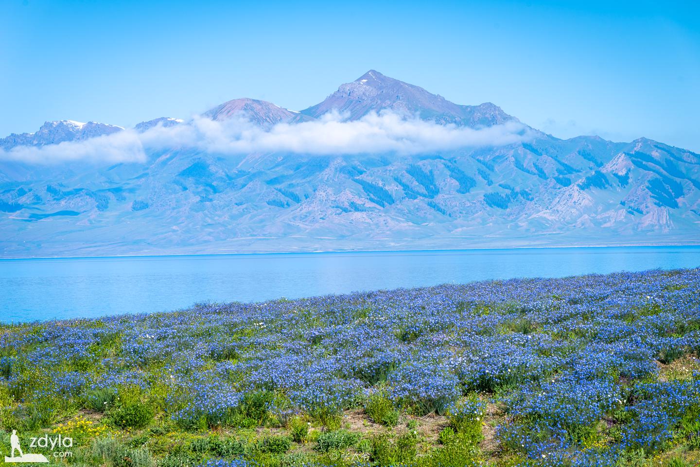 There is a kind of blue called "Sailimu Lake Blue"