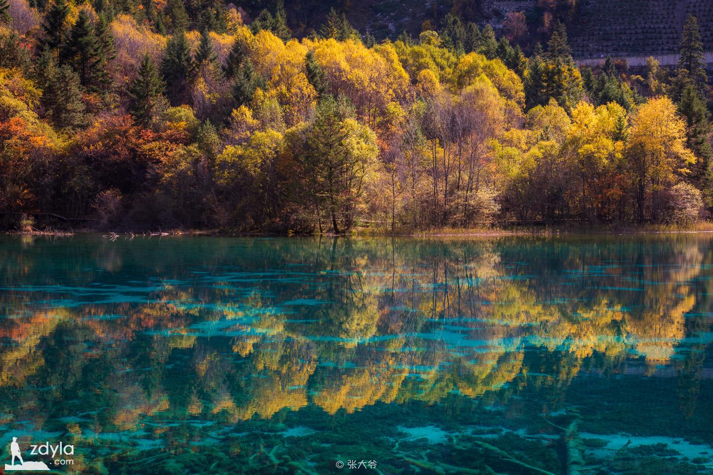 Jiuzhai Valley · Flowers sea