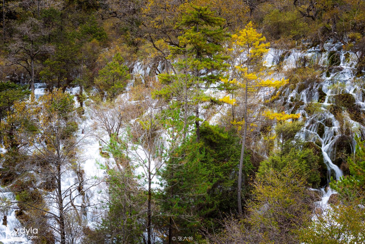 Jiuzhai Valley · Shuzheng waterfall