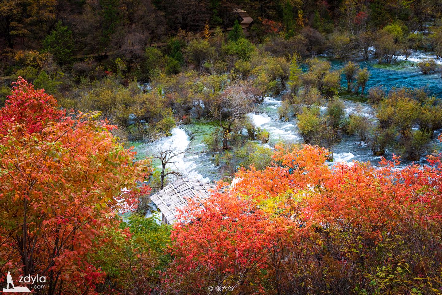 Jiuzhai Valley · Bonsai sea