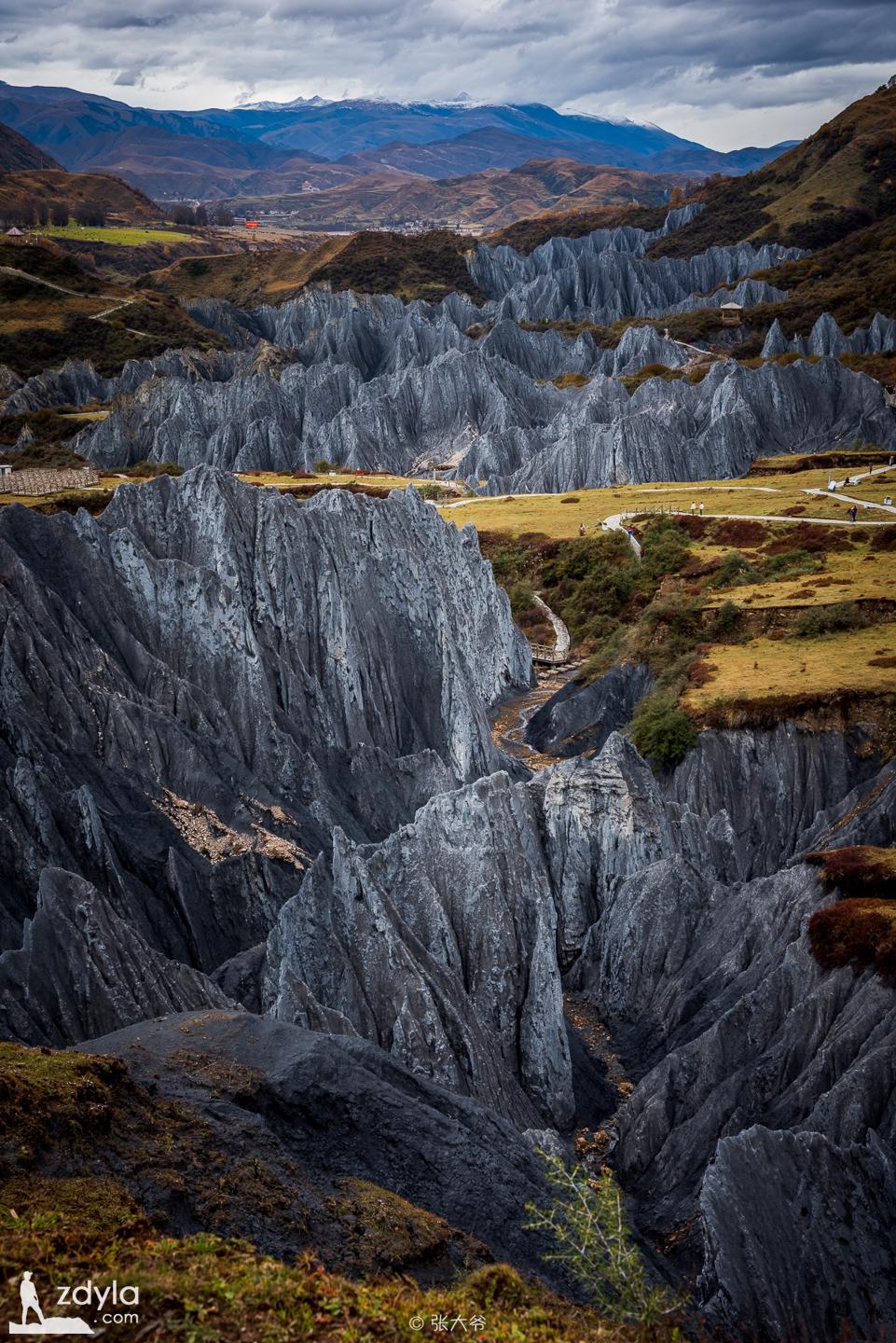 Mylonite Stone Forest