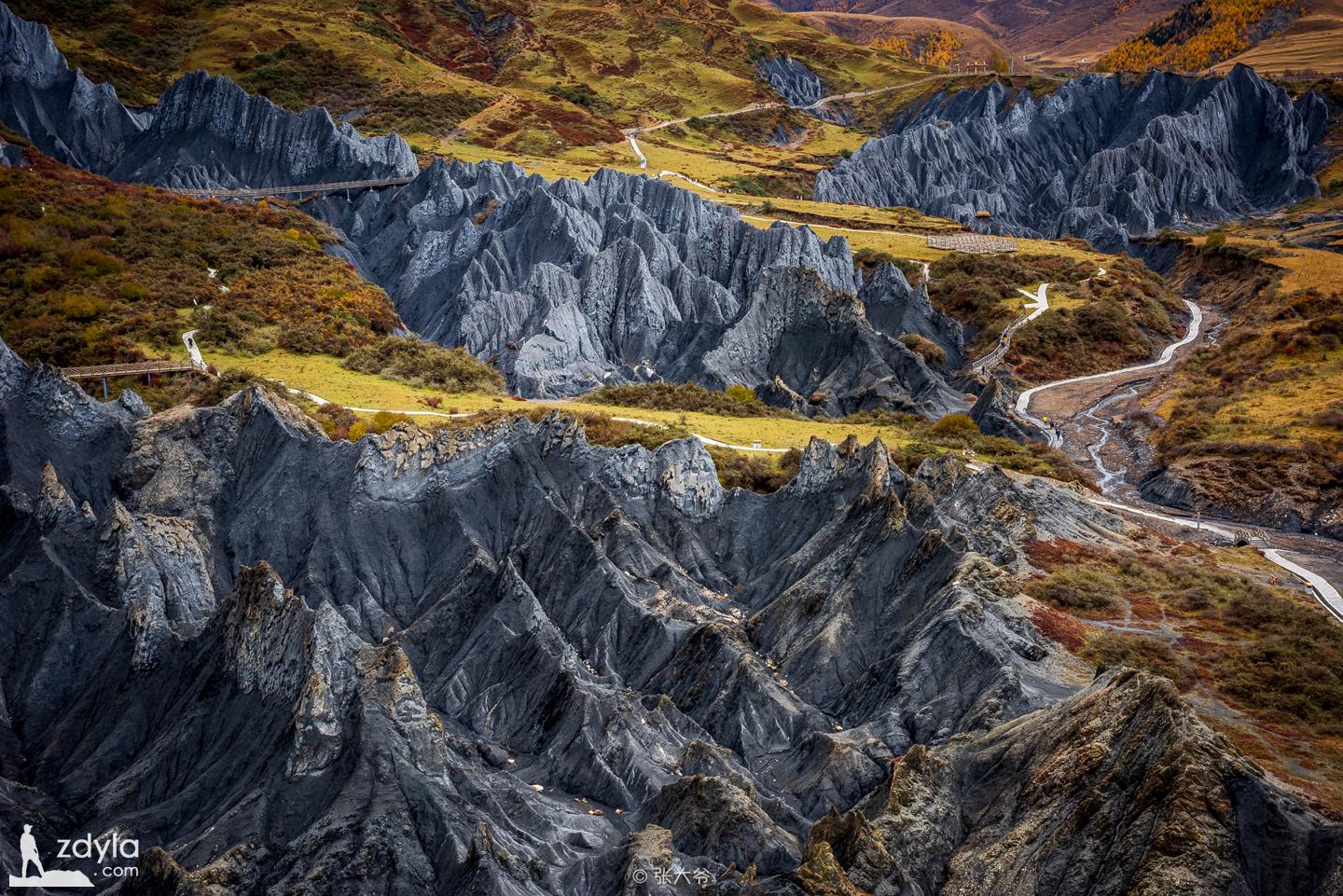 Mylonite Stone Forest