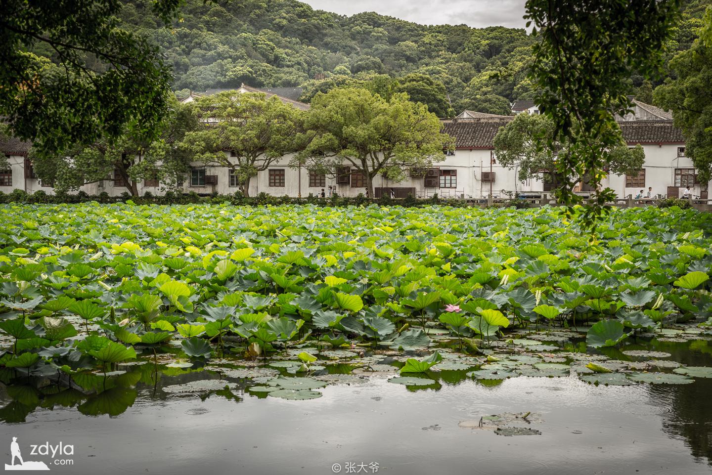 A corner of Putuo