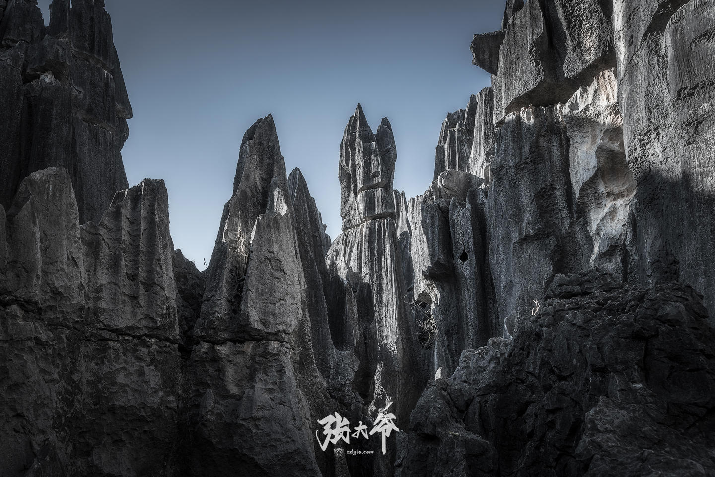 The God of Stone Forest